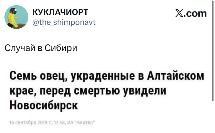 Источник: X (Twitter)