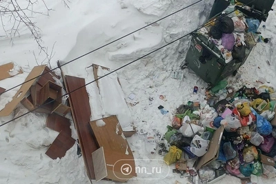 Нижегородцам предложили стажировку на мусоровозах после жалоб