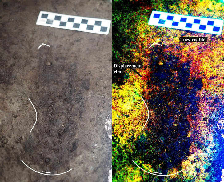В Канаде обнаружены следы возрастом 13 тысяч лет