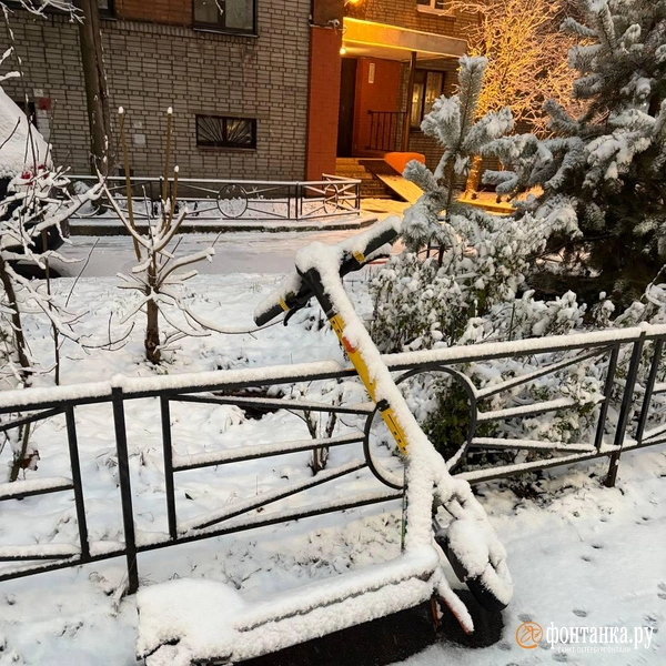 Источник: FONTANKA.RU