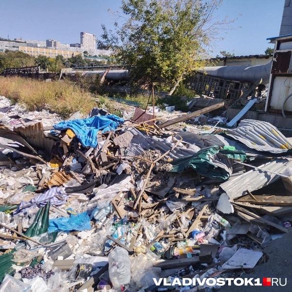 Источник: Екатерина Дымова / VLADIVOSTOK1.RU