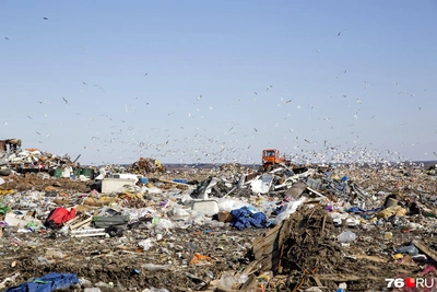 Под Ярославлем построят завод по переработке ТКО за 7 млрд