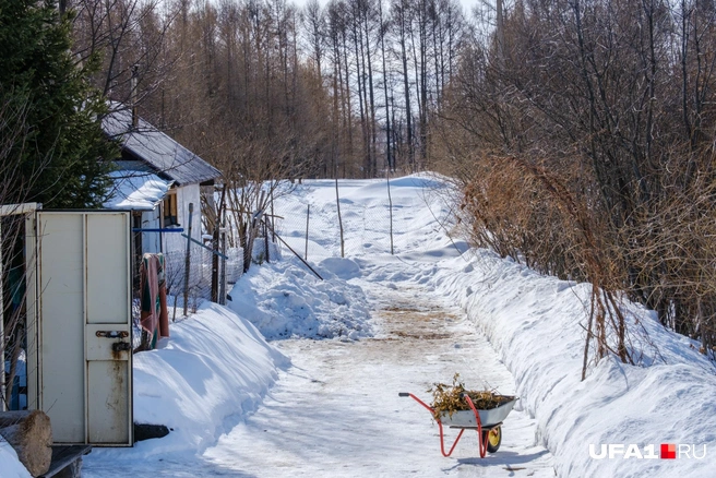 Это двор соседей, им пришлось загродиться сеткой. Там дальше — место где бегают собаки | Источник: Булат Салихов / UFA1.RU 