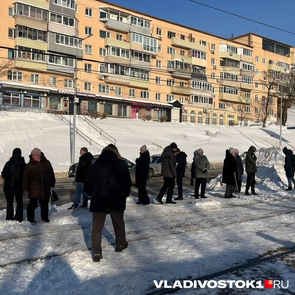 Источник: Елена Буйвол / VLADIVOSTOK1.RU