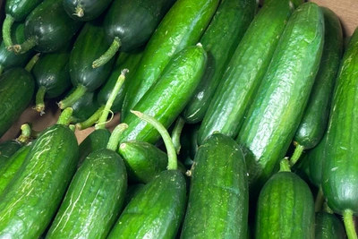 В Приморье только в одном месте огурцы дешевле 200 рублей за кг