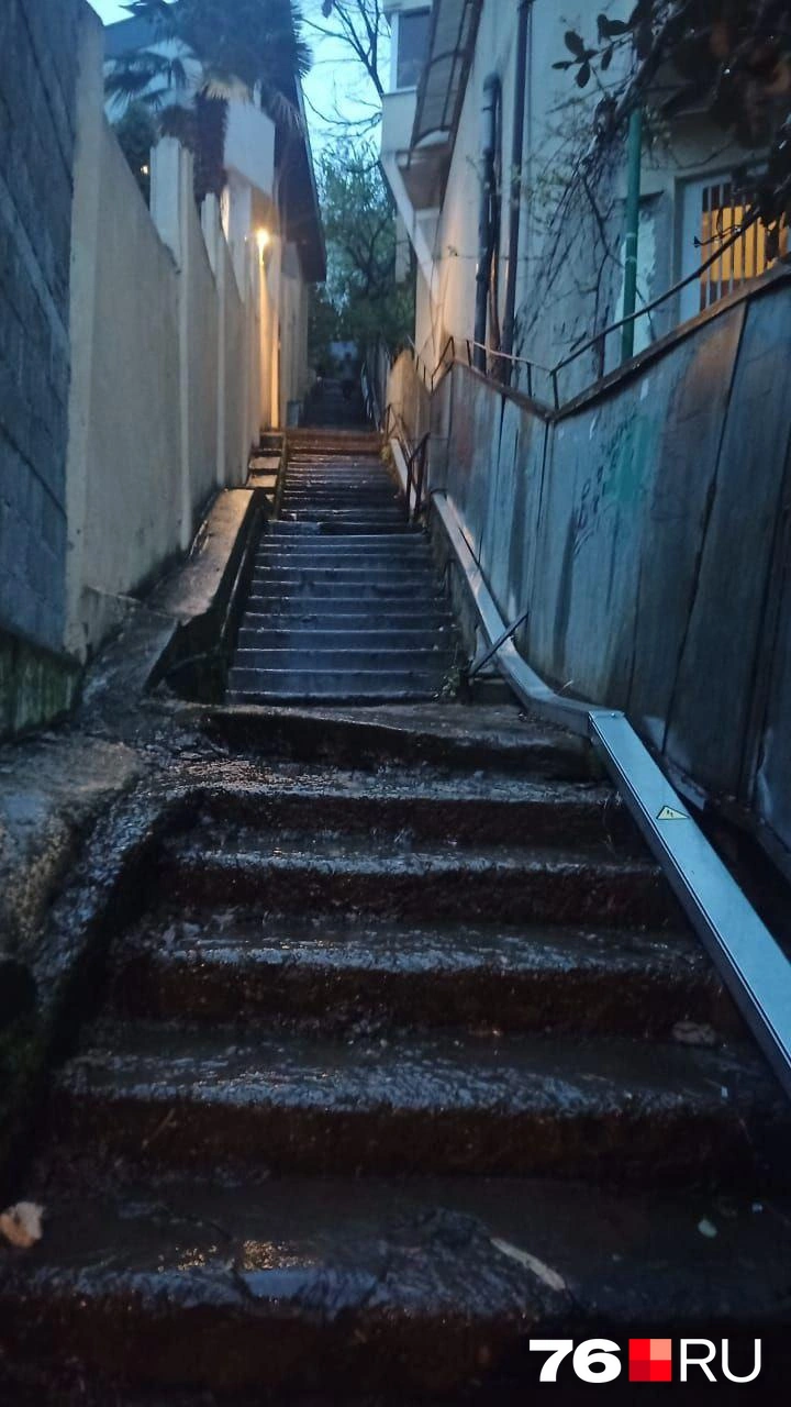 В Сочи периодически нужно куда-то подниматься и спускаться | Источник: Наталья