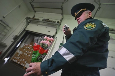 49 тысяч зараженных цветов не пустили в Приморье