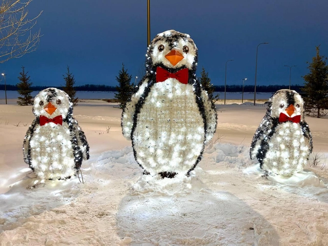 Такие милые пингвины появились в Нижневартовске в этом году | Источник: администрация Нижневартовска