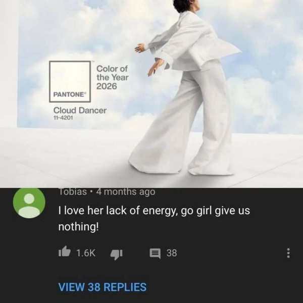 Перевод: "Мне нравится отсутствие энергии. Давай девочка, дай нам "ничего"!" | Источник: Соцсеть «Х"