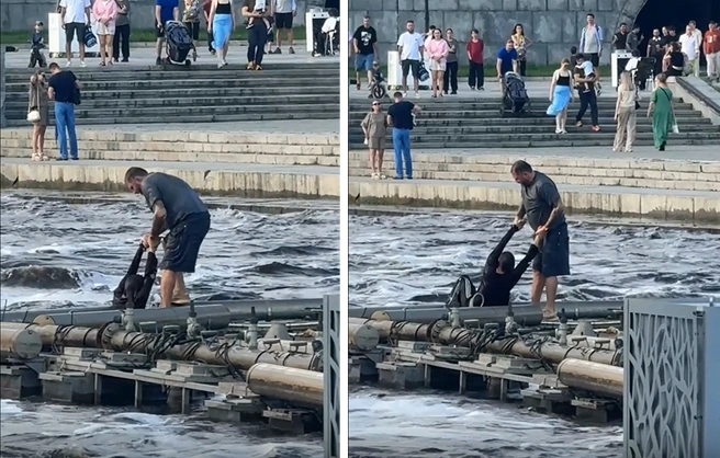 Девушка упала в воду на Плотинке и едва не утонула — ее героически спас прохожий. Видео | Источник: читатель E1.RU
