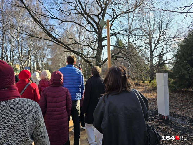 По этому дереву прыгала белка | Источник: Семен Коротов-Майбах / 164.RU
