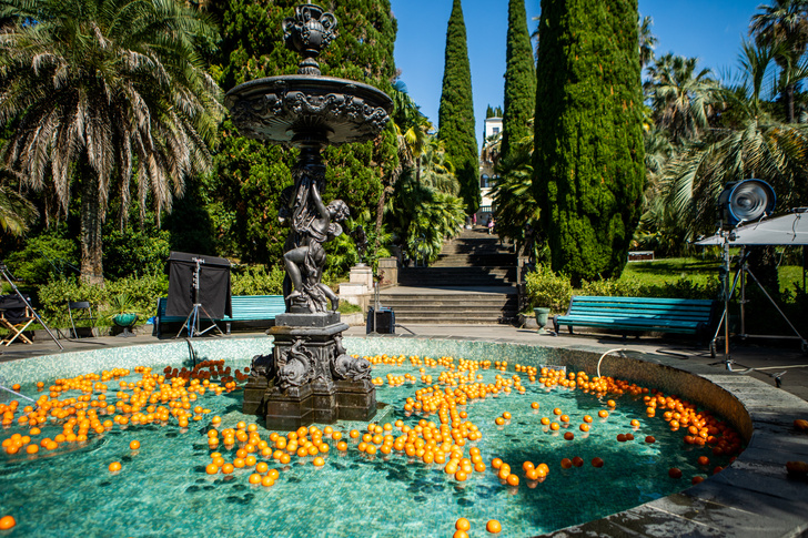 Апельсины в фонтане санатория Орджоникидзе и узкие улочки Кисловодска: как новый «Чебурашка» заставляет нас вспомнить прошлое