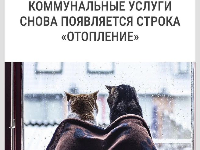 Опять это началось | Источник: Городские медиа