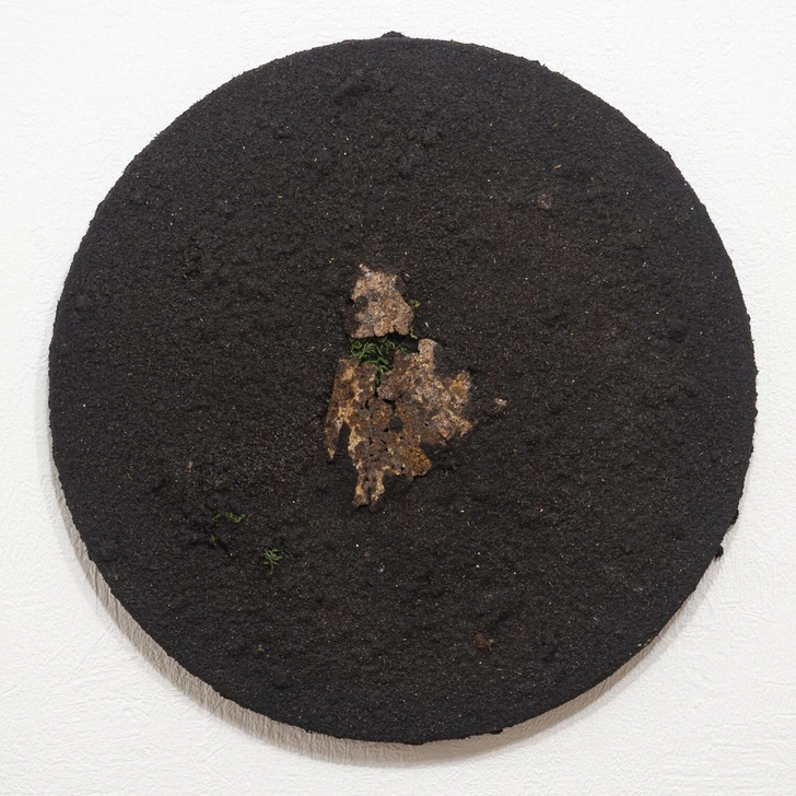 Ян Тихоненко. Soil Artwork Series, 2021.