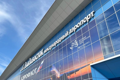 Аэропорт Владивостока заплатит за птиц в двигателе