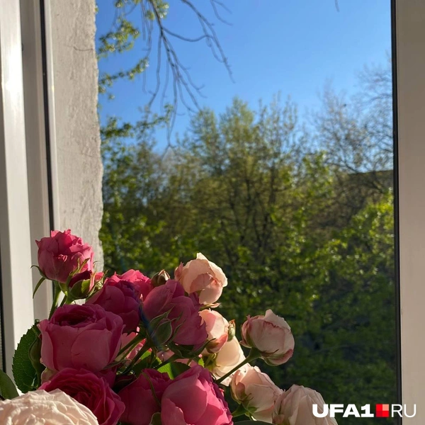 Здесь мне цветы подарил | Источник: Личный архив