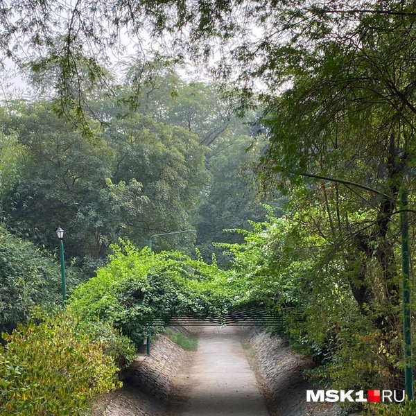 Источник: Лада Михайлович