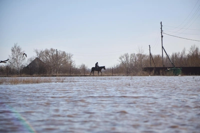В Рязанской области из-за паводка закрыли мост
