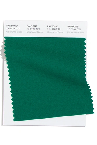 PANTONE 18-5338