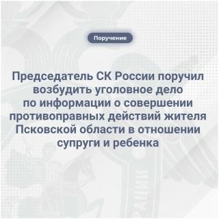 Источник: pskov.sledcom.ru