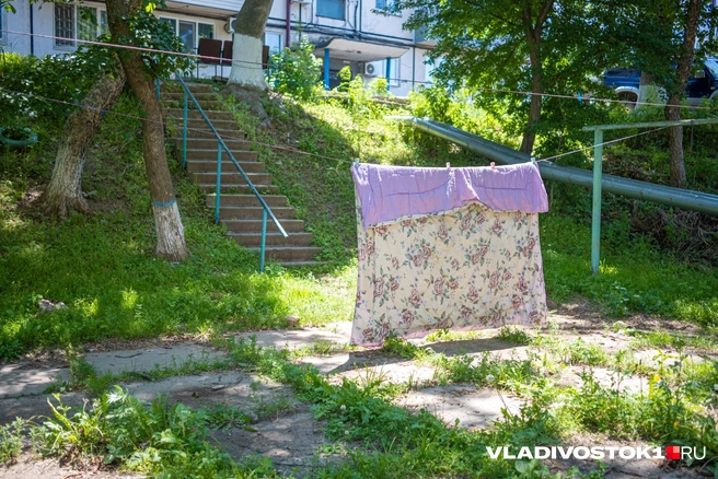 Источник: Елена Буйвол / VLADIVOSTOK1.RU