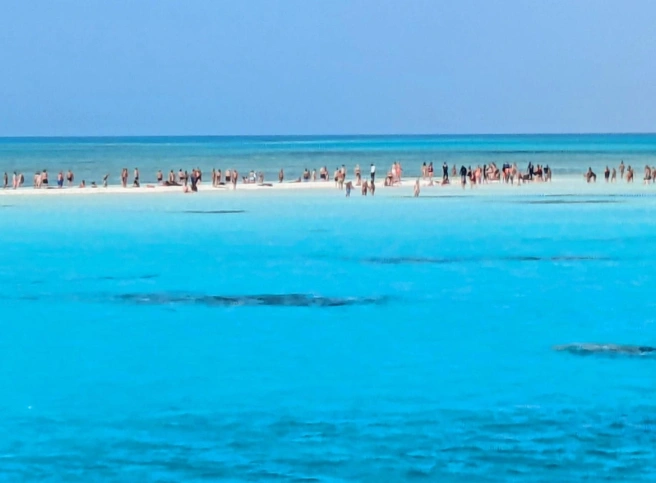 Белый остров (White Island) в Шарм-эль-Шейхе&nbsp;— это живописная песчаная коса с белоснежным песком в центре Красного моря, расположенная на территории национального парка Рас-Мохаммед | Источник: Оксана Витязь