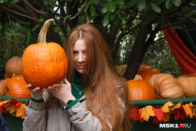 Тыквы так и тянут сфотографироваться | Источник: Артем Устюжанин / MSK1.RU