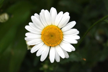 Тест на гибкость мышления: только гений найдет все спрятанные слова