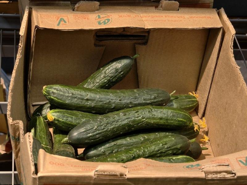 Огурцы взлетели в 3 раза, а картошка всего на 5 рублей: как поменялись цены в Башкирии за три месяца