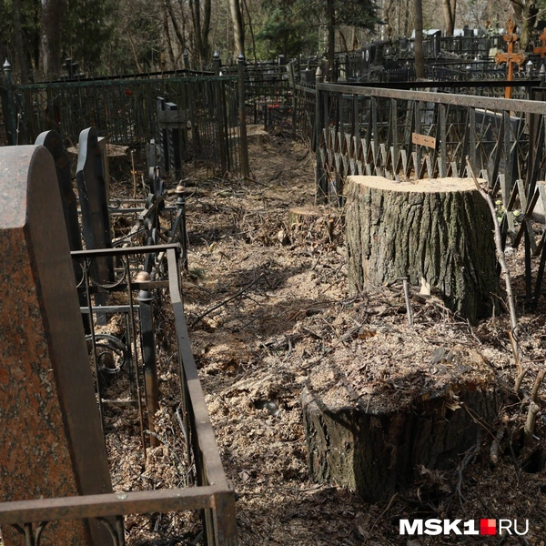 Источник: читатель MSK1.RU