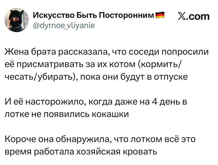 Источник: X (Twitter)