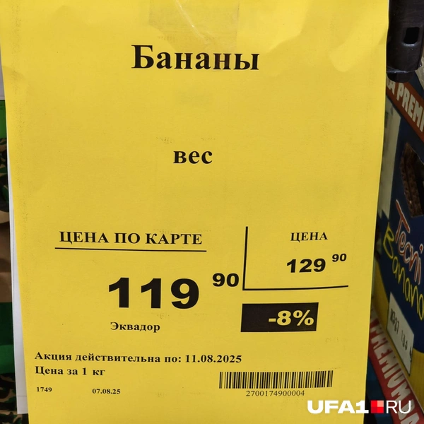 Источник: Булат Салихов / UFA1.RU