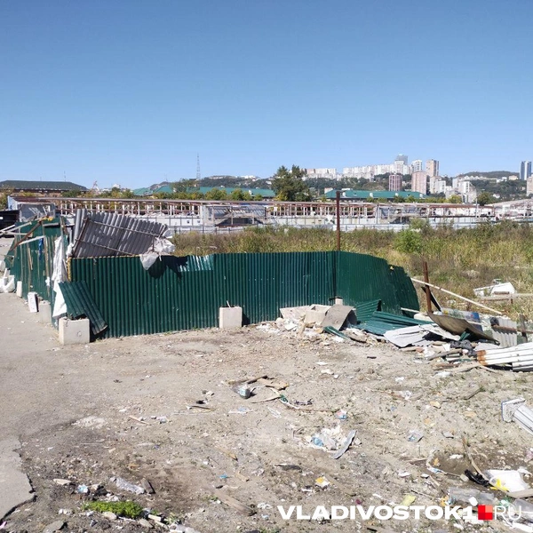 Источник: Екатерина Дымова / VLADIVOSTOK1.RU