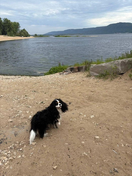 Но лето он всё равно постарался догнать | Источник: читатель 63.RU