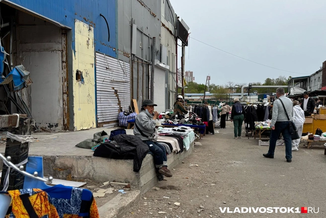 Источник: Елена Буйвол / VLADIVOSTOK1.RU