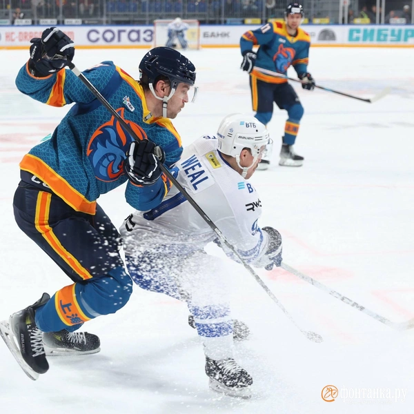 Источник: Сергей Михайличенко / «Фонтанка.ру»