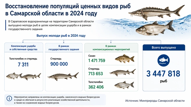 Мальков стерляди выпускают по госзаданию (то есть платит за это государство), но вообще-то выпускают и много других рыб. Это делают крупные компании в рамках компенсационных мероприятий. Если они навредили природе строительством новых объектов или вредными выбросами, они обязаны компенсировать ущерб. Например, выпуская рыбу в Волгу | Источник: OpenAI