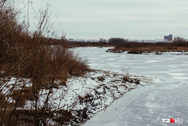 В пресс-службе компании, которая добывает песок, уточняли, что уровень воды в озере «отвечает условиям сезонности» | Источник: Ирина Шарова / 72.RU