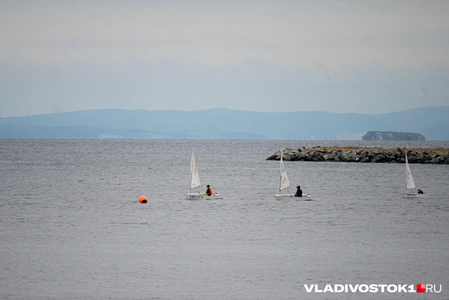 Источник: Елена Буйвол / VLADIVOSTOK1.RU