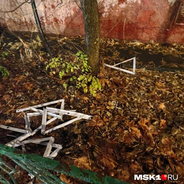 Источник: Антонина за Химки / T.me