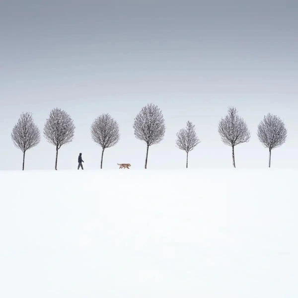 Красота в простоте: удивительные фото финалистов конкурса Minimalist Photography Awards 2025 в номинации «Пейзаж» | Источник: Martin Rak / Minimalist Photography Awards 2025