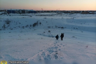 В Подгородней Покровке найдены тела женщины и ребенка