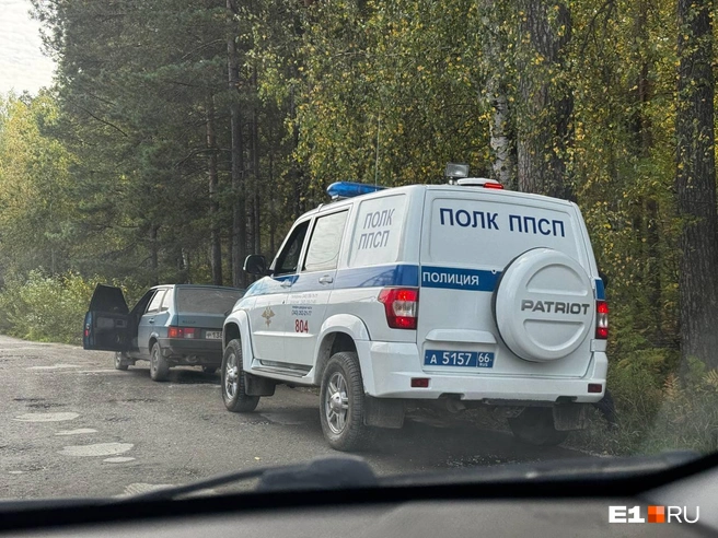 Полицейские патрулируют все дороги, которые ведут в сады  | Источник: Дарья Костомина / E1.RU 
