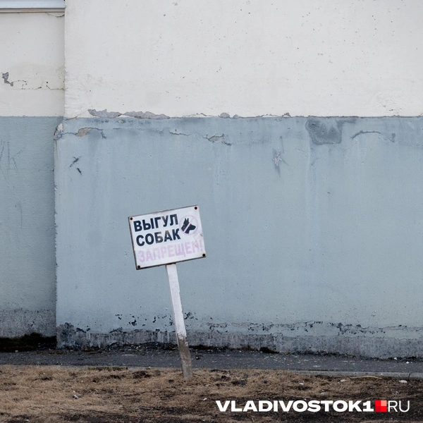 Источник: Елена Буйвол / VLADIVOSTOK1.RU