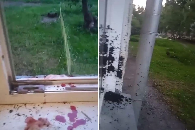 В июне произошло первое столкновение между соседями, уверяет жительница | Источник: предоставлено Татьяной