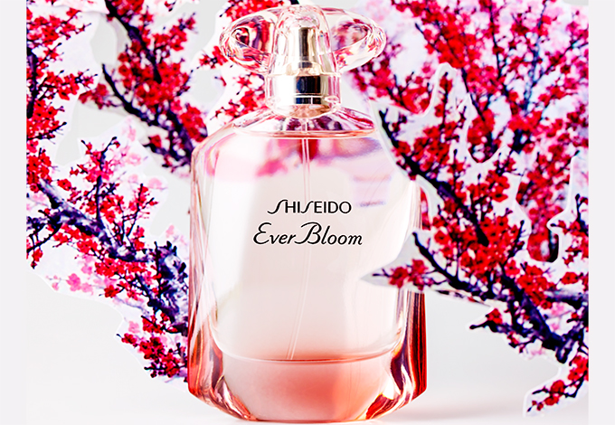 Shiseido Shiseido