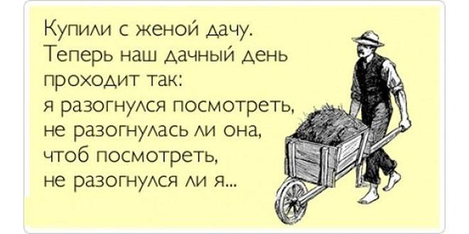 Мемы про сад и огород: 10 смешных ситуаций, которые знакомы каждому дачнику