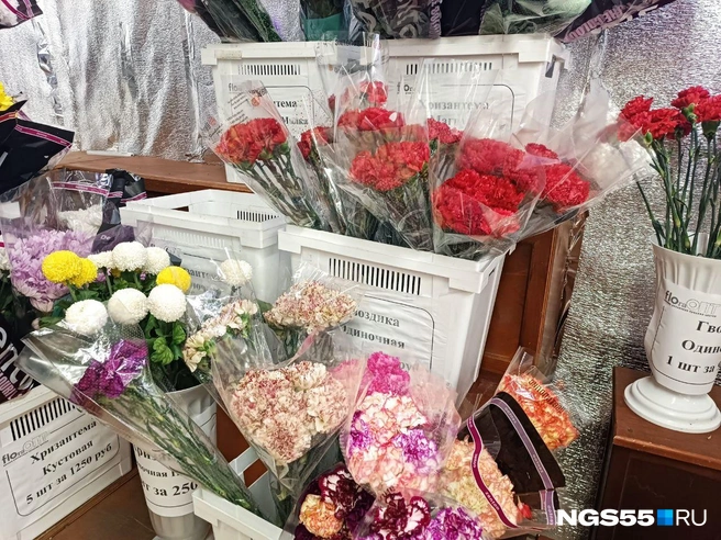 В цветочных магазинах можно купить разные виды гвоздики | Источник: Мария Носенко / NGS55.RU