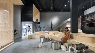 Скажи «мяу»: новое котокафе в Китае