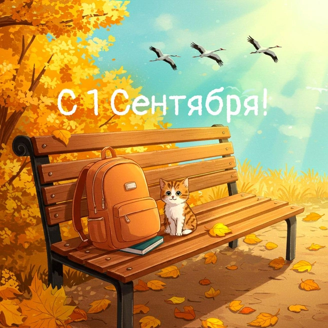 Источник: Городские медиа